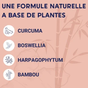 Compléments alimentaires articulations – ENOVA