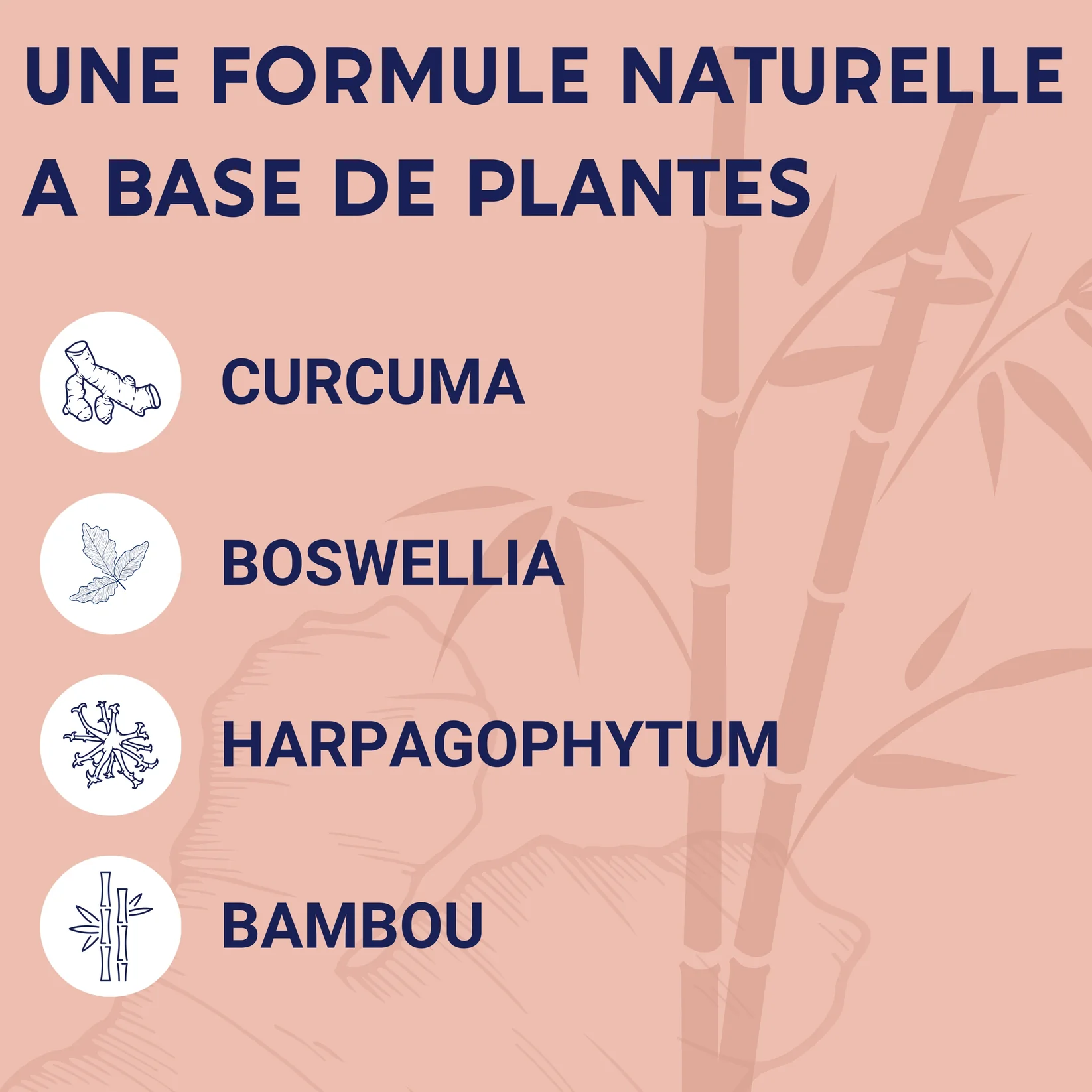 Compléments alimentaires articulations - ENOVA – Image 2