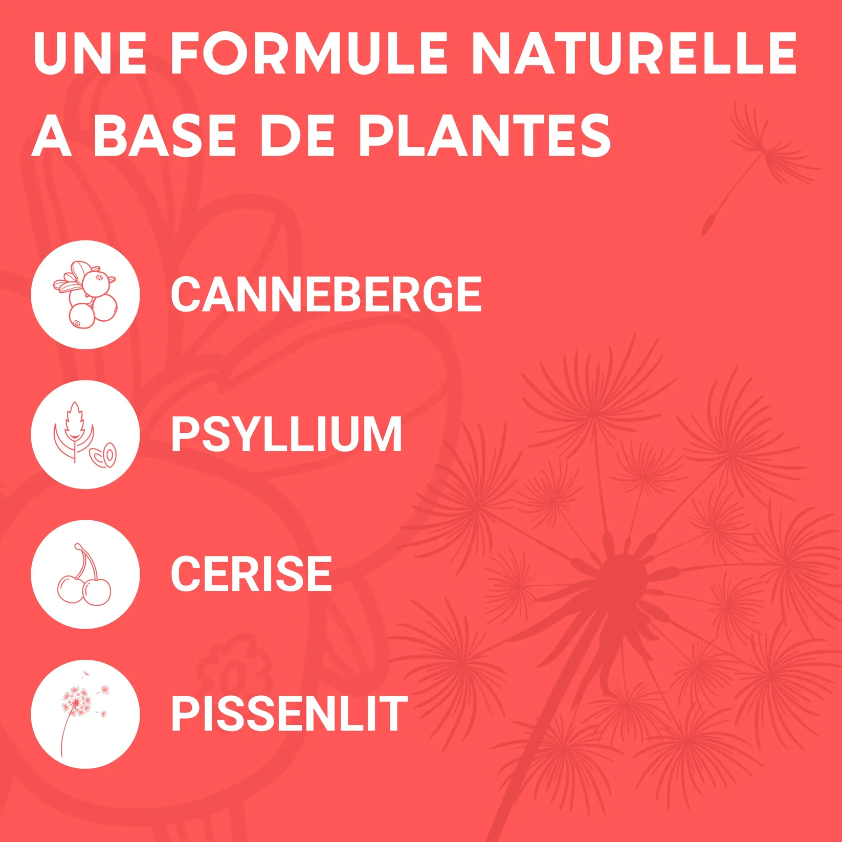 Compléments alimentaires confort intime - ENOVA – Image 6