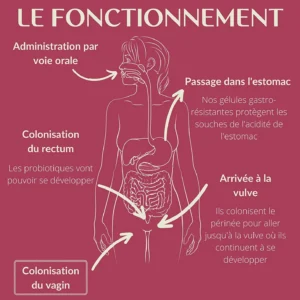 Probiotique flore intime – ENOVA