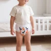 Transi'Up BBIES : couche de transition